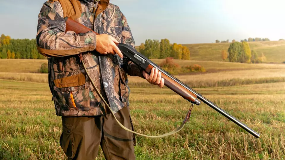 В Югре можно будет охотиться на лосей, рысей и медведей