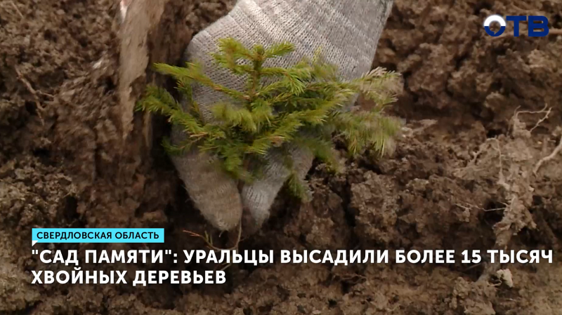 Свердловчане высадили «Сад памяти» под Первоуральском