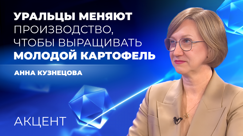 В свердловском МинАПК рассказали, как будут бороться с дорогим иностранным картофелем
