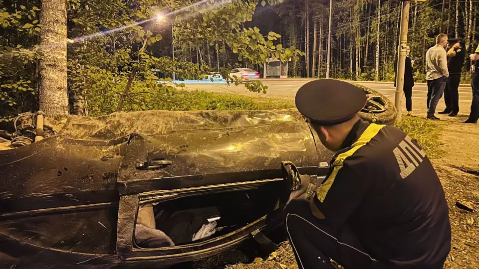 Госавтоинспекция: рост смертей в ДТП за последние сутки