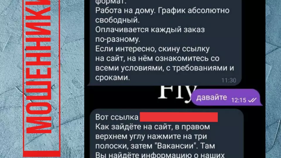 В МВД предупредили о мошенниках, предлагающих деньги за набор текста