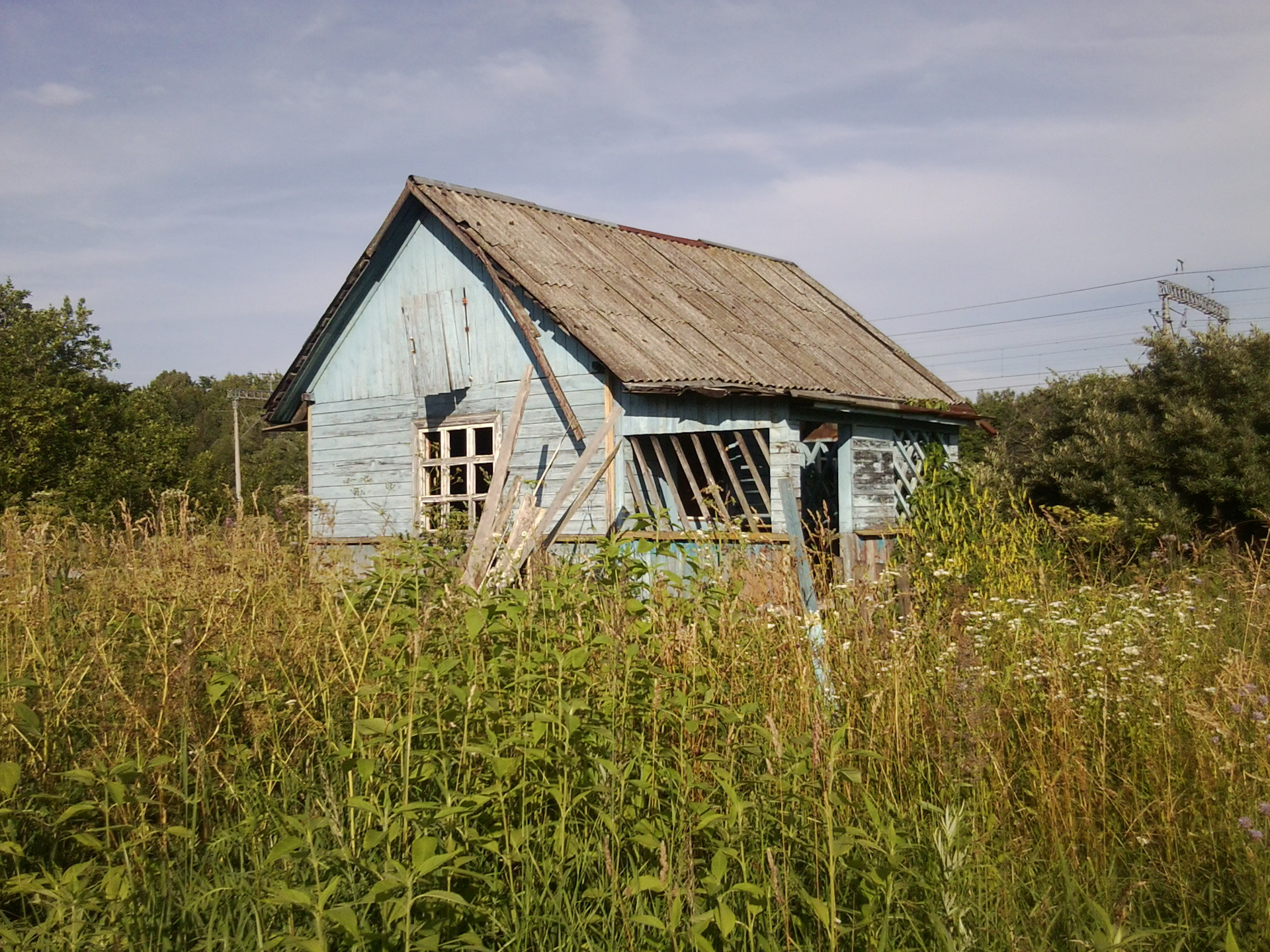 У россиян изымут неухоженные земельные участки