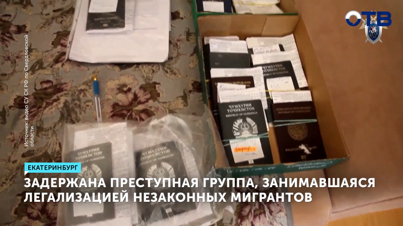 Задержана группа, легализовавшая 2000 мигрантов в РФ