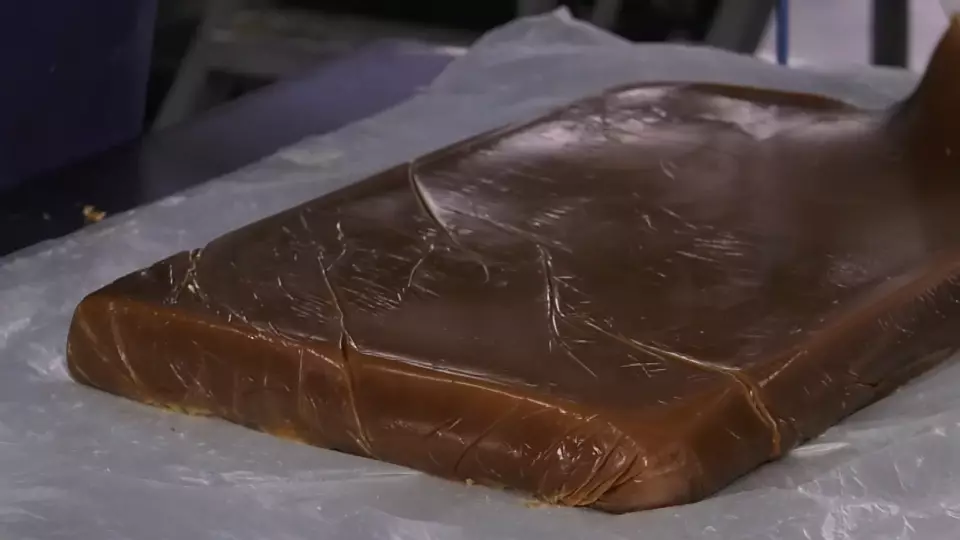 Омские ученые создали замену жиров из дрожжей