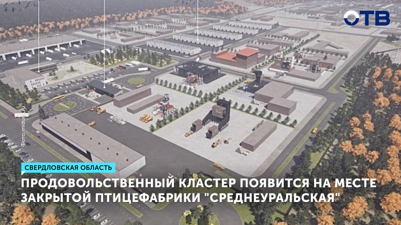 На месте птицефабрики в Среднеуральске построят продовольственный кластер