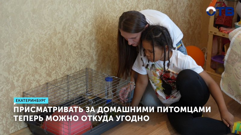 Присматривать за домашними питомцами теперь можно откуда угодно