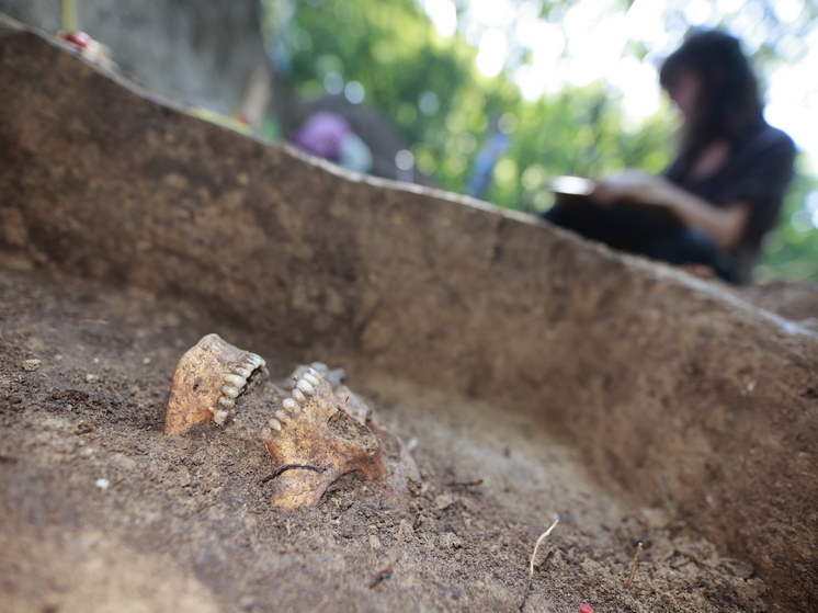 Археологи в Бельгии нашли стену из человеческих костей