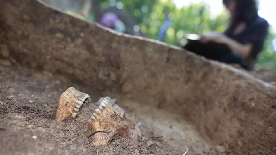 Археологи в Бельгии нашли стену из человеческих костей