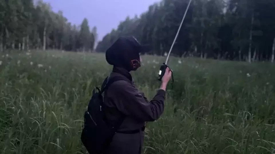 Пропавшая в Тюмени пенсионерка найдена живой после 3 ночей в лесу