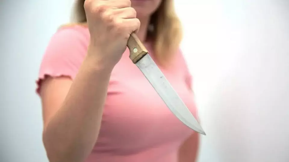 Женщина в покушении на убийство сожителя