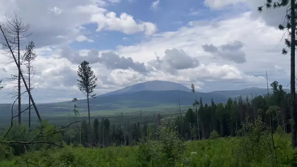 В этом году участников марафона «Конжак», преодолевших дистанцию 15 и более раз, впервые наградят знаком «Почётный конжаковец»