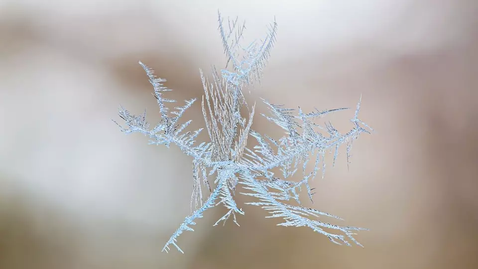 Ученые из УрФУ создали формулу, описывающую рост снежинок