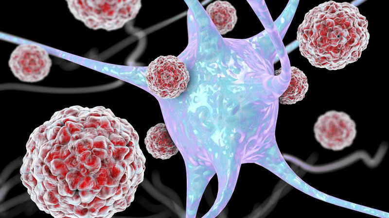 Энтеровирусы угрожают нервной системе детей