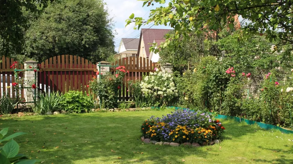 Госдума планирует запретить коммерческую деятельность на дачных участках