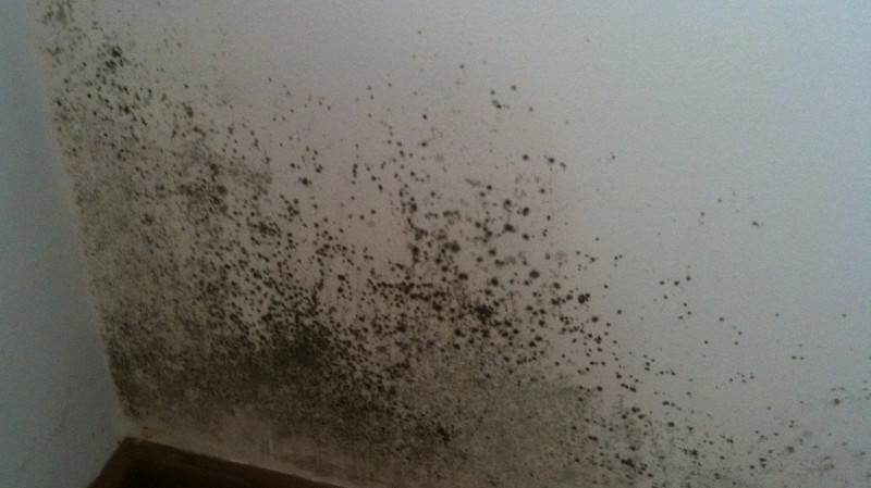 На молзаводе в Свердловской области обнаружены серьезные санитарные нарушения