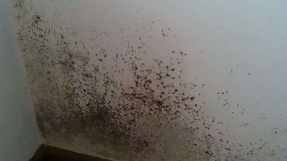 На молзаводе в Свердловской области обнаружены серьезные санитарные нарушения