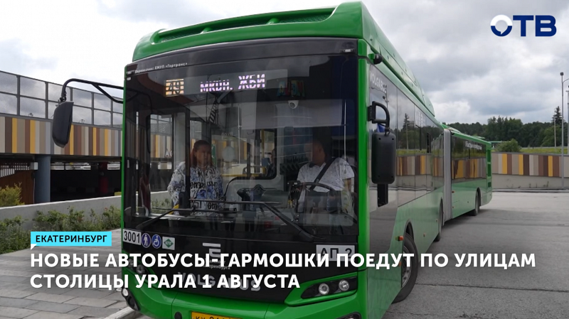 Новые автобусы-гармошки выйдут на маршруты 1 августа