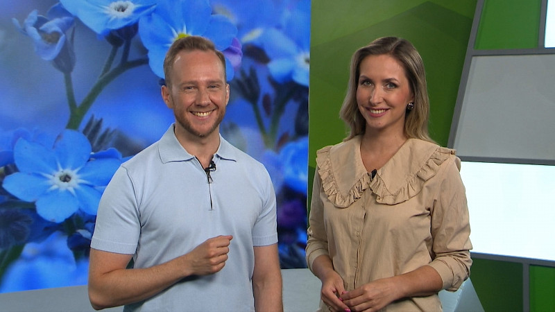 Выпуск «Свердловского утра» от 25.07.2025