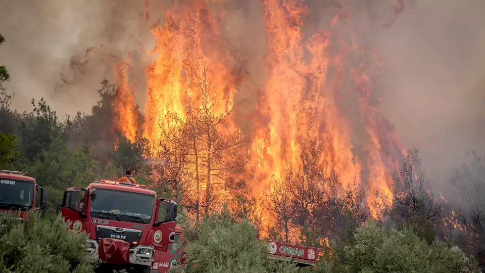 Лесные пожары в Турции не нарушают отдых российских туристов