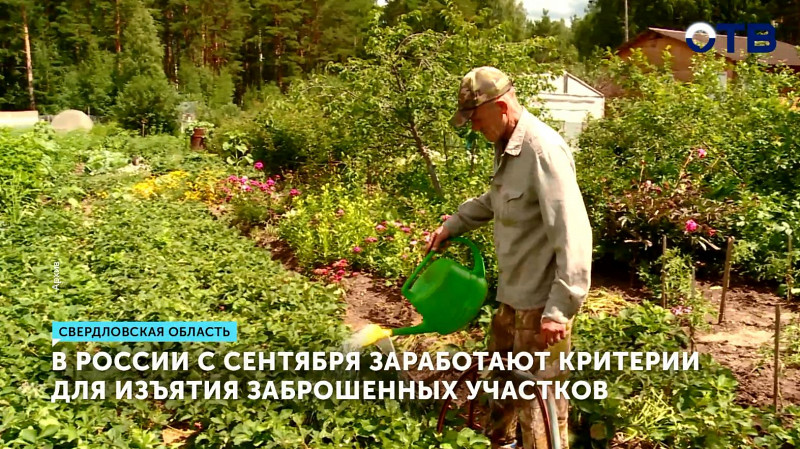 В России с сентября заработают критерии для изъятия заброшенных участков