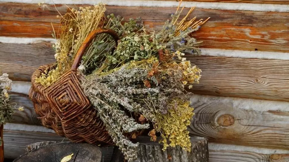 Народные приметы 1 августа: что делали наши предки и чего остерегались