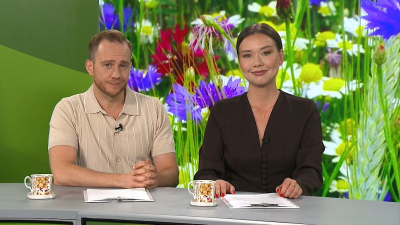 Выпуск «Свердловского утра» от 31.07.2025