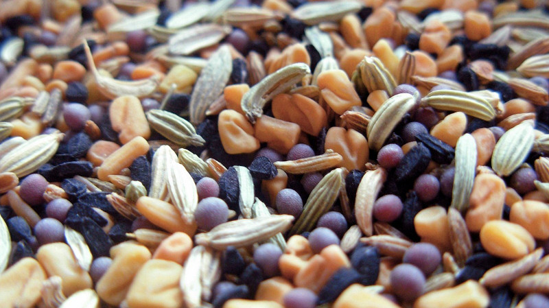 В Екатеринбурге продавали семена «вне закона»