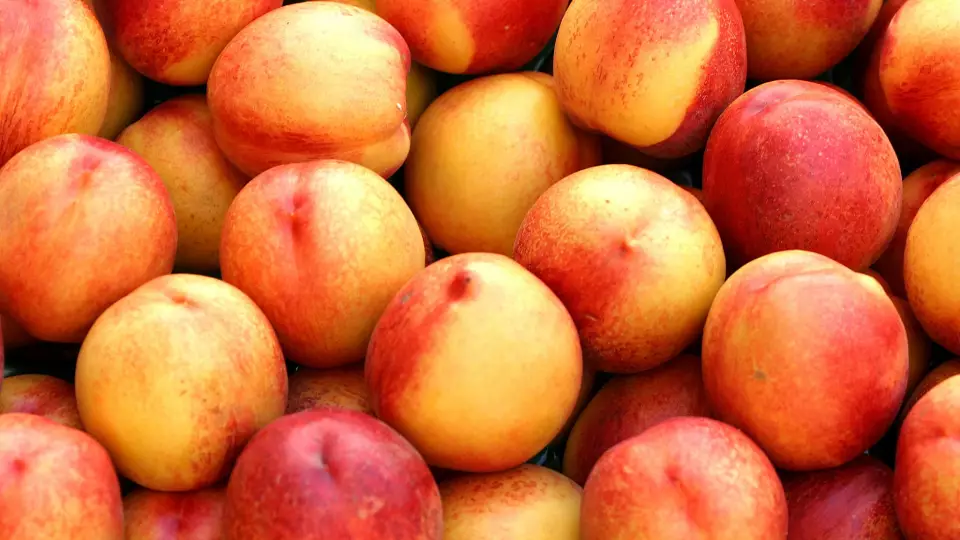 Импорт узбекских нектаринов на Урал вырос в два раза