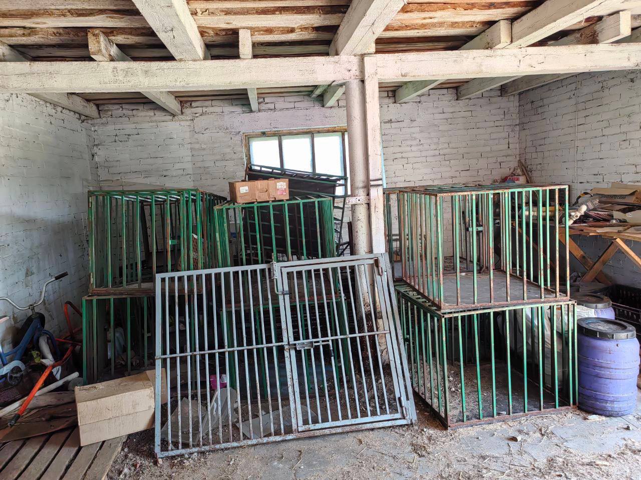 В камышловском приюте для животных выявлены грубые нарушения условий содержания