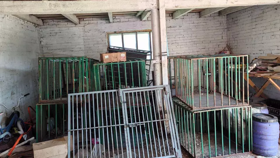 В камышловском приюте для животных выявлены грубые нарушения условий содержания