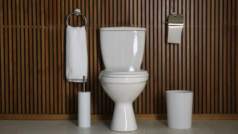 В Москве электрик установил скрытые камеры в женском туалете ТЦ