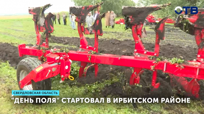 Традиционный «День поля» стартовал в Ирбитском районе