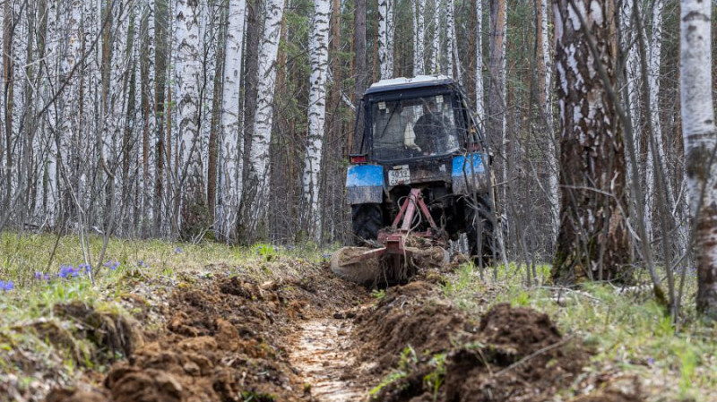 В Свердловской области создали более 4 тысяч километров противопожарных барьеров