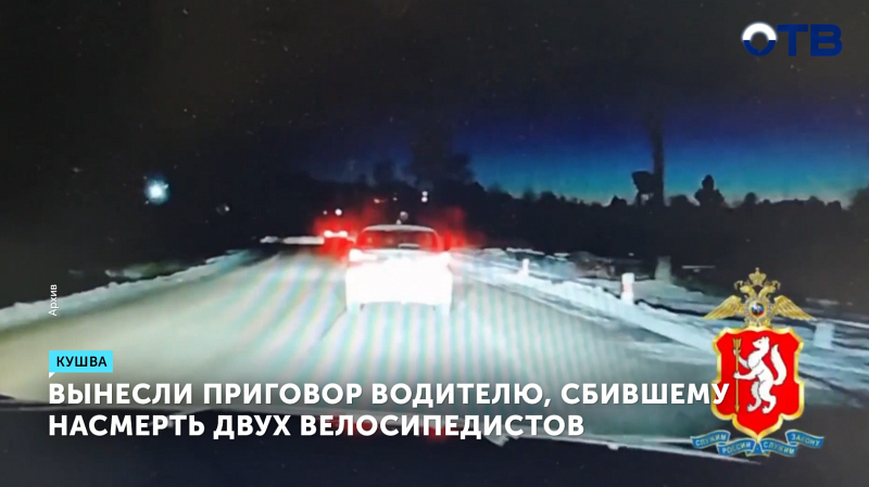 Вынесли приговор водителю, сбившему насмерть двух несовершеннолетних велосипедистов в Кушве