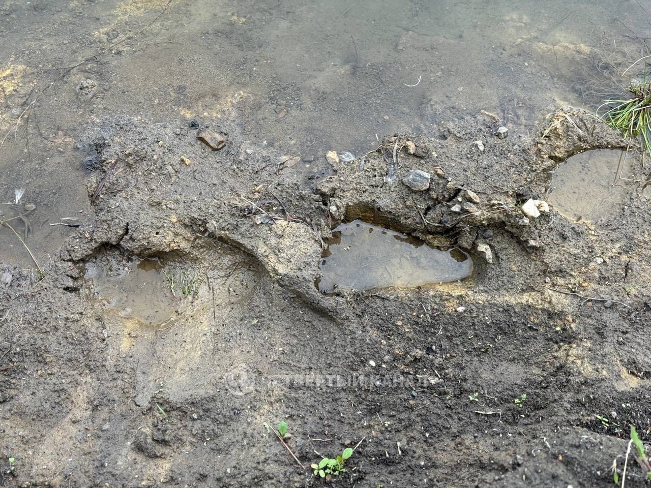 Тело пропавшего 8-летнего мальчика найдено в карьере под Артемовским