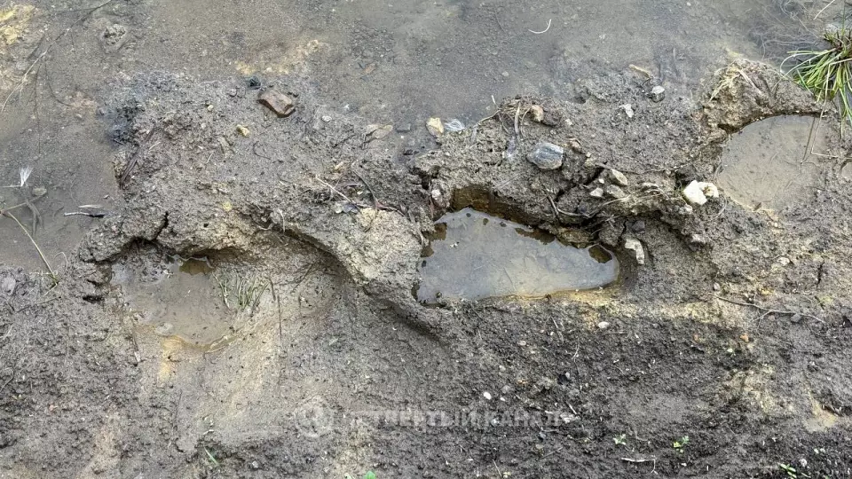 Тело пропавшего 8-летнего мальчика найдено в карьере под Артемовским