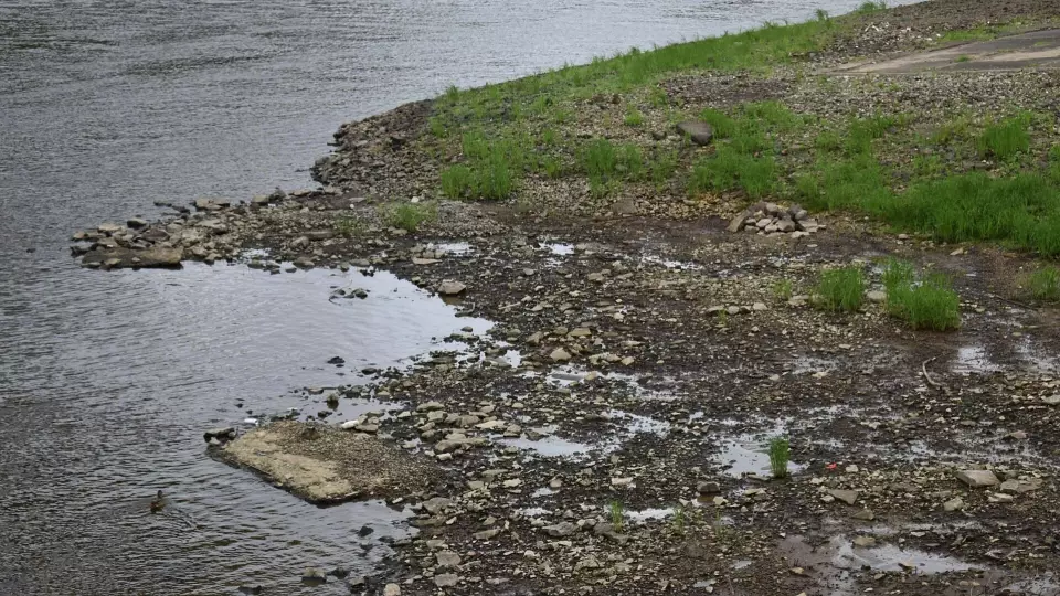 Глава СК России проверит сброс фекалий в реку Выю в Нижнем Тагиле