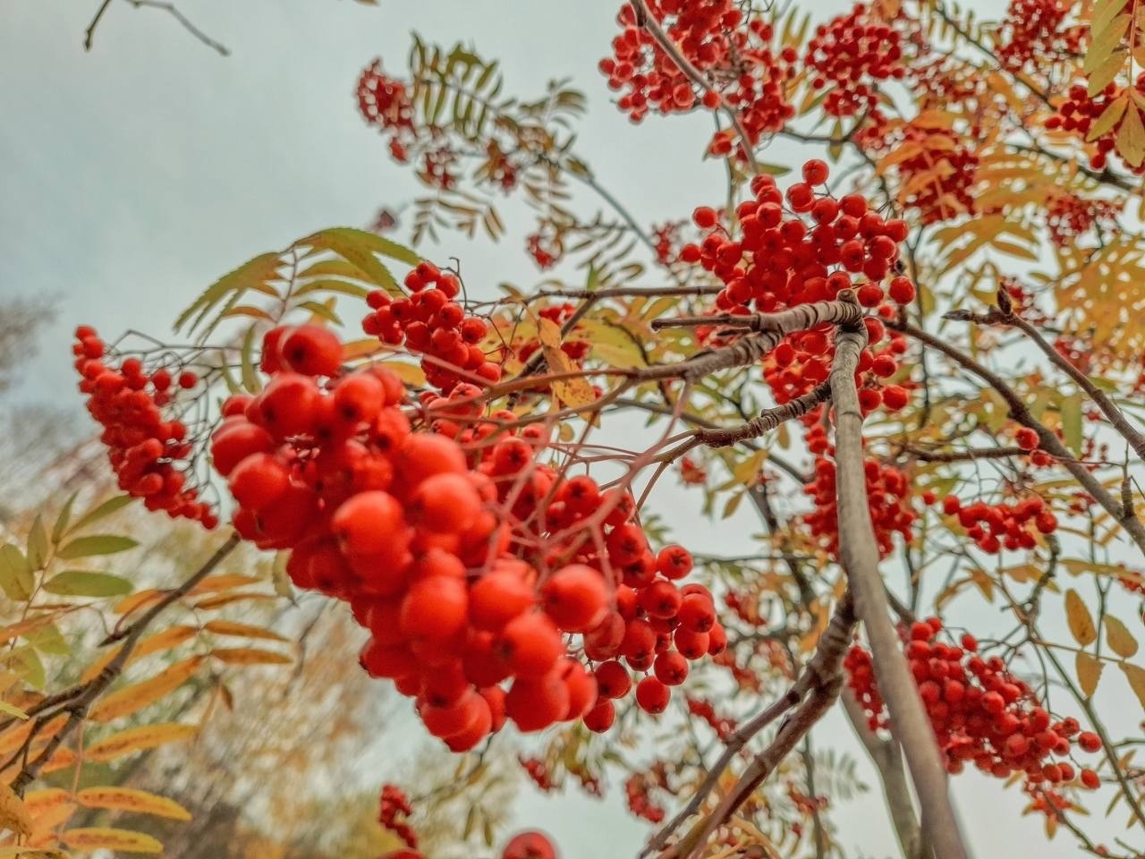 Музыкальный критик объяснил феномен популярности песни «Третье сентября»