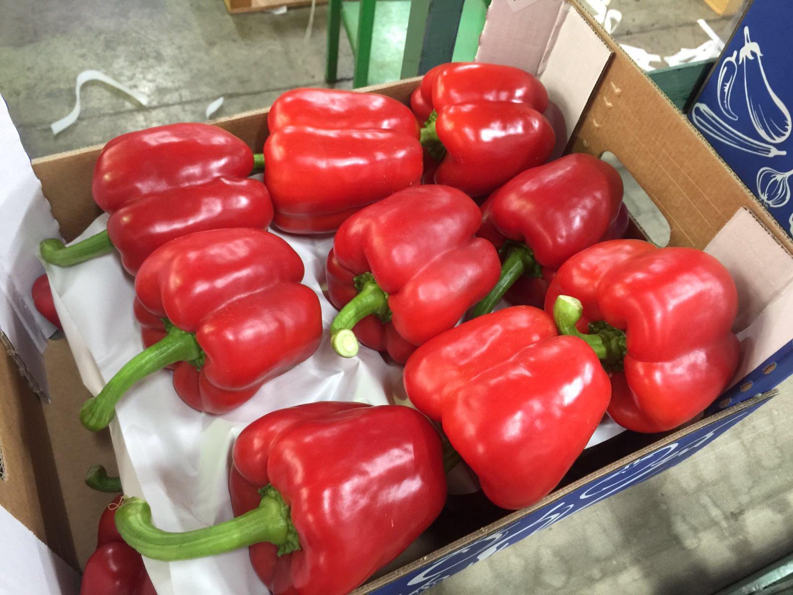 Свердловская область получила 20 тонн перца из Казахстана