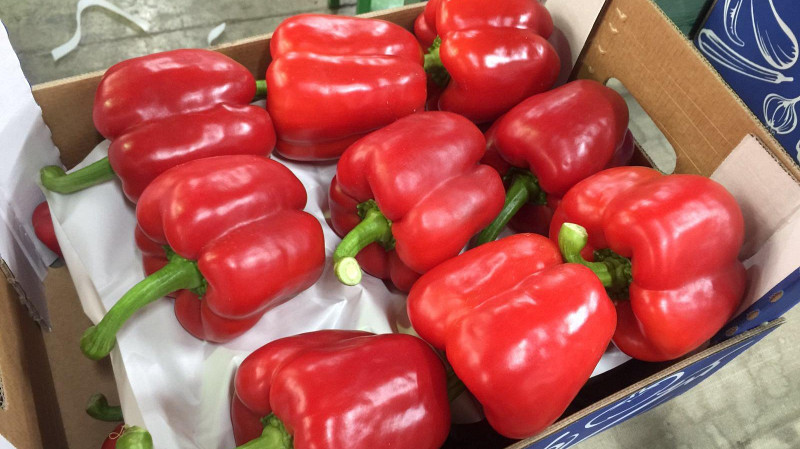 Свердловская область получила 20 тонн перца из Казахстана