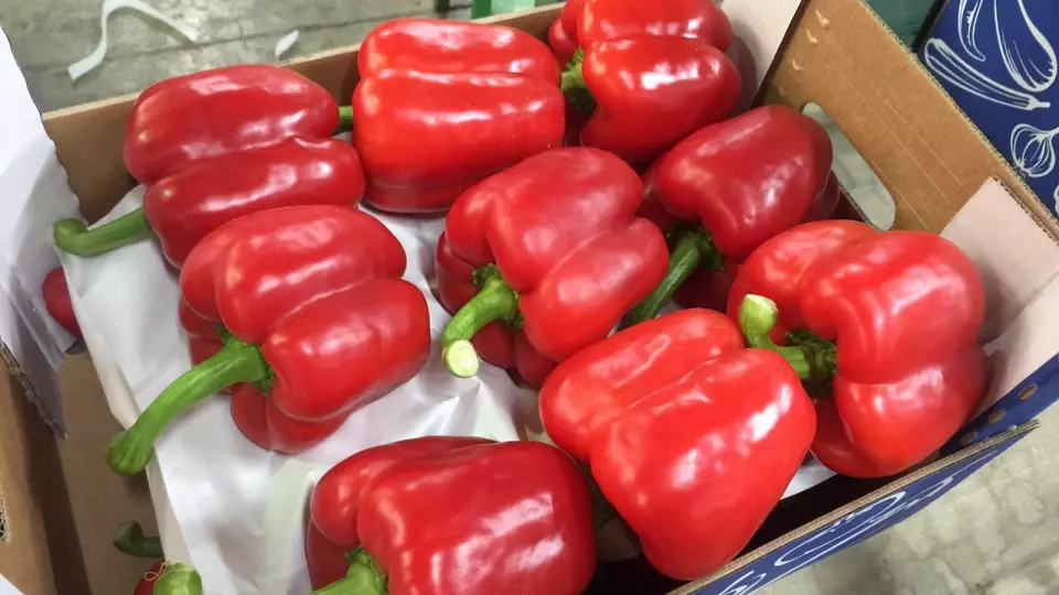 Свердловская область получила 20 тонн перца из Казахстана