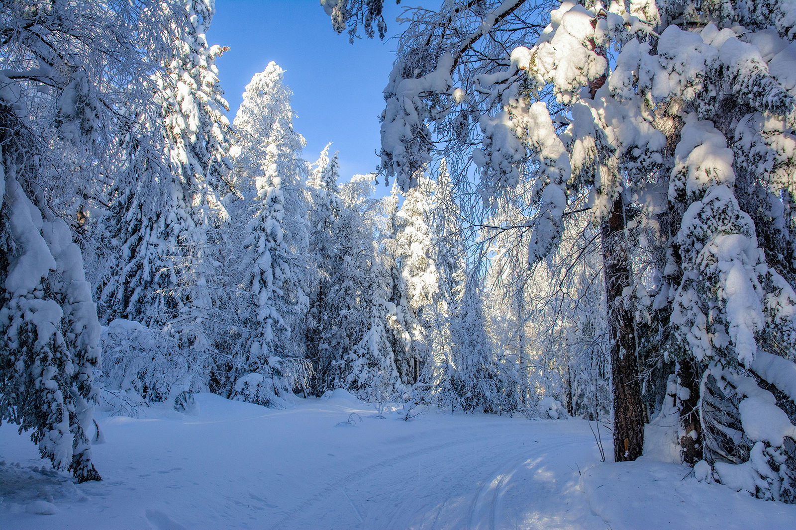 Житель Сосьвы осужден за то, что оставил умирать женщину в зимнем лесу