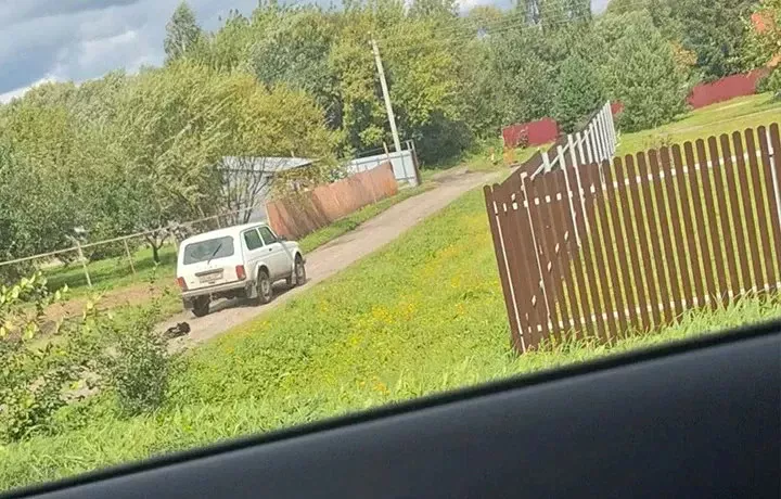 Против жителя Богородицка возбудили дело за езду с привязанной к авто собакой