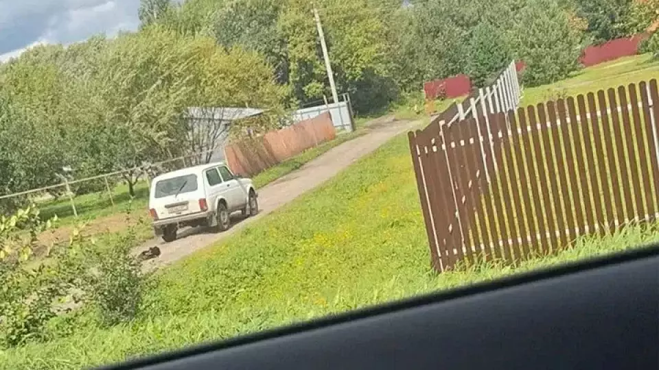 Против жителя Богородицка возбудили дело за езду с привязанной к авто собакой