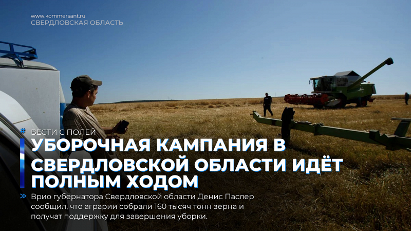 Уборочная кампания в Свердловской области идёт полным ходом
