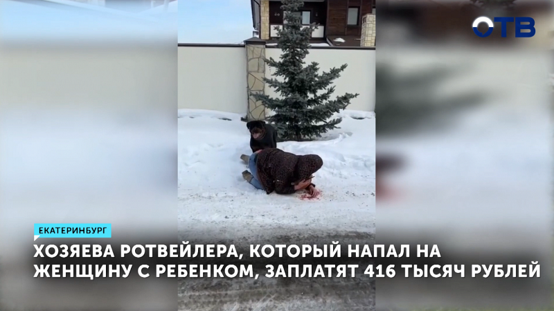 Хозяева ротвейлера, напавшего на женщину с ребенком в Екатеринбурге, заплатят компенсацию