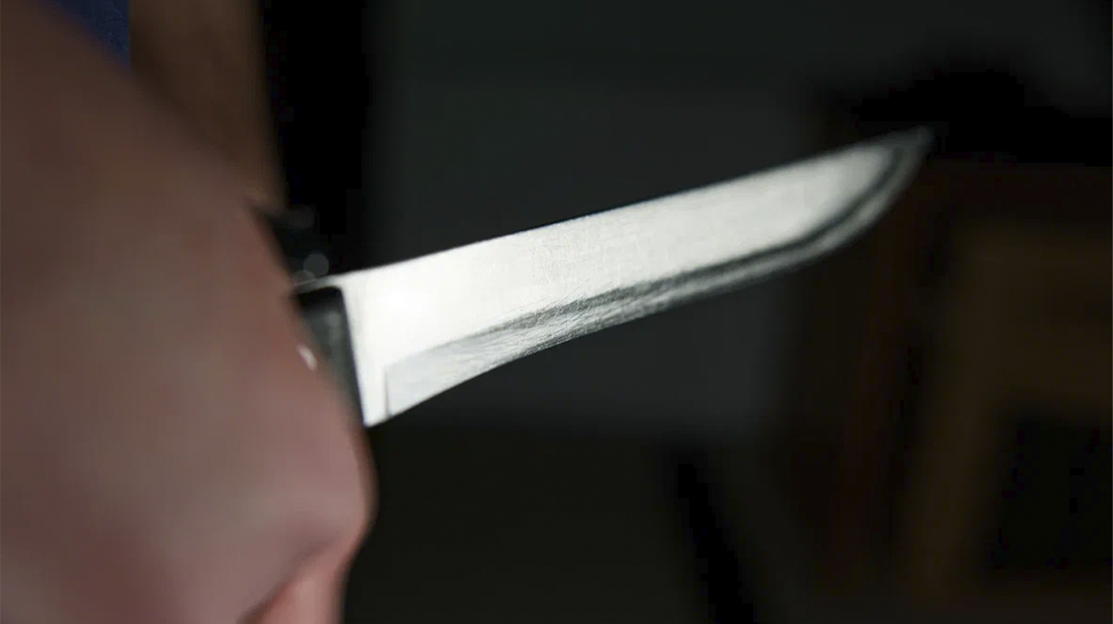 Красноярец угрожал соседке расправой из-за кота