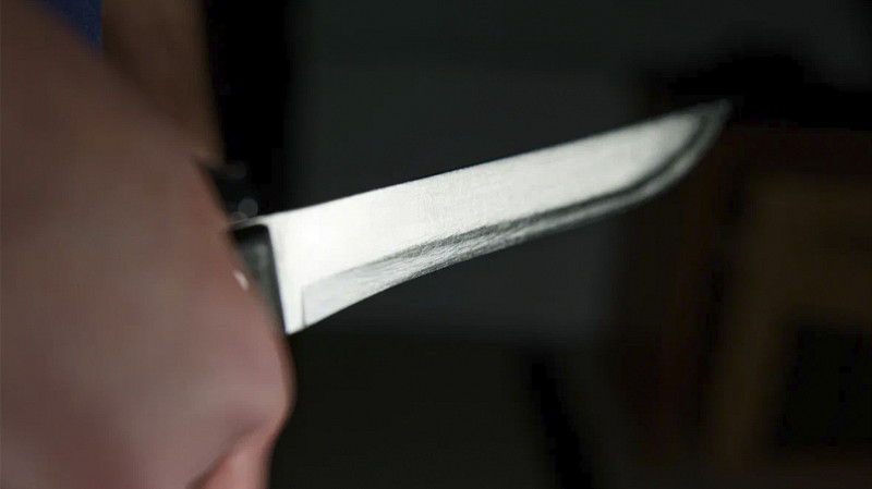 Красноярец угрожал соседке расправой из-за кота