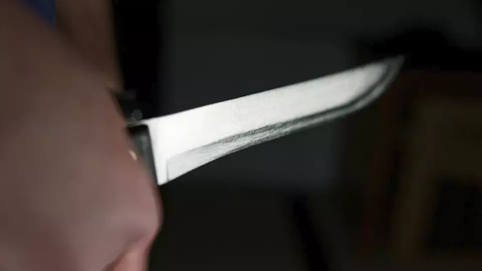 Красноярец угрожал соседке расправой из-за кота