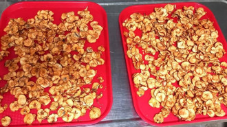 Зоопарк Екатеринбурга просит овощи для животных